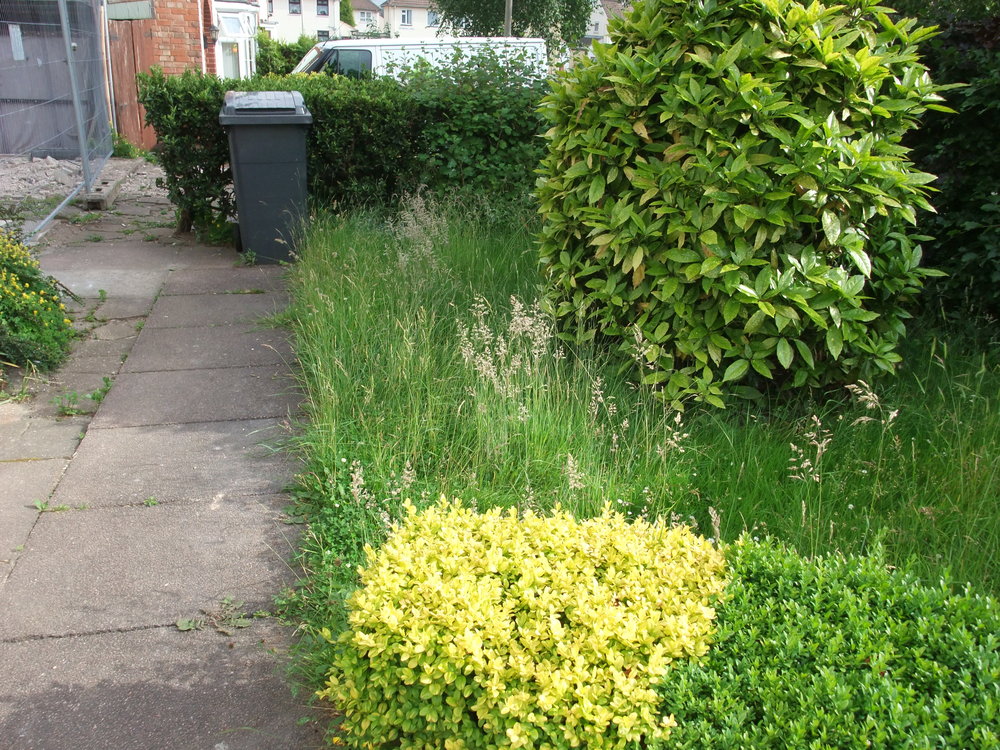 dscf6421.jpg